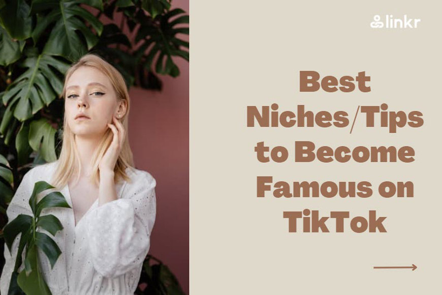 10 Best Niches/Tips to Famous on TikTok Linkr Academy