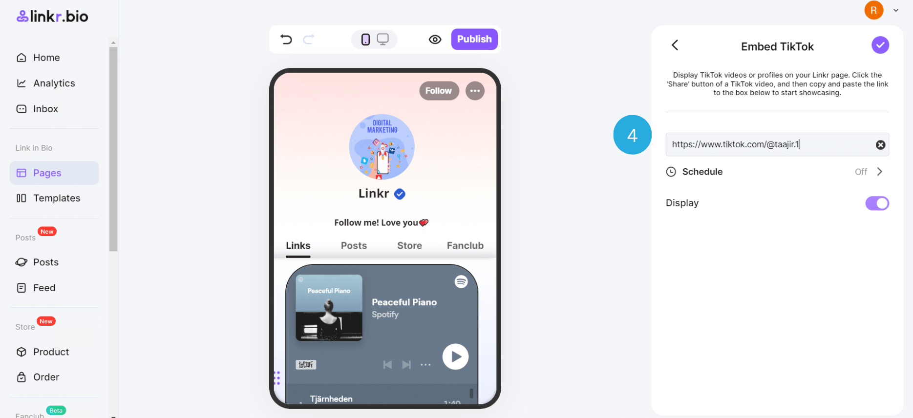 Embed Tiktok Feeds on linkr