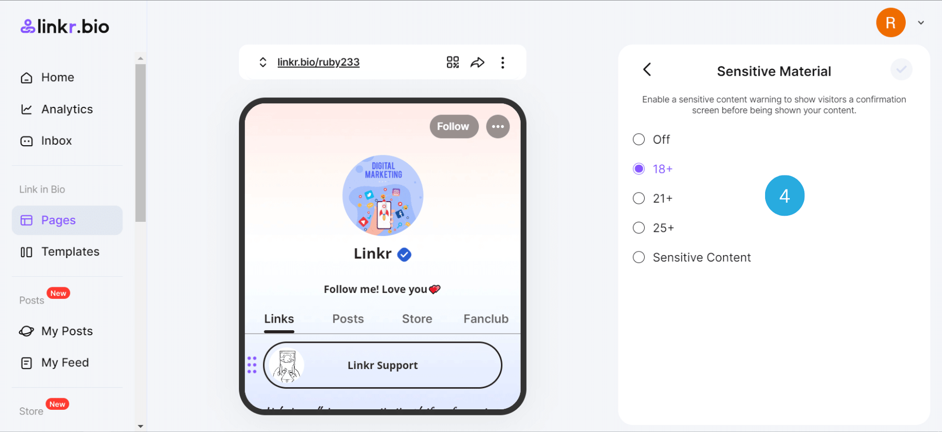 Set Up Sensitive Material Option on Your Linkr Page