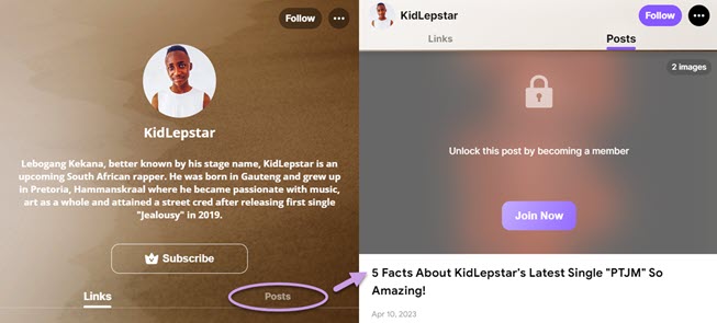 KidLepstar has launched a tiered membership service on Linkr Posts